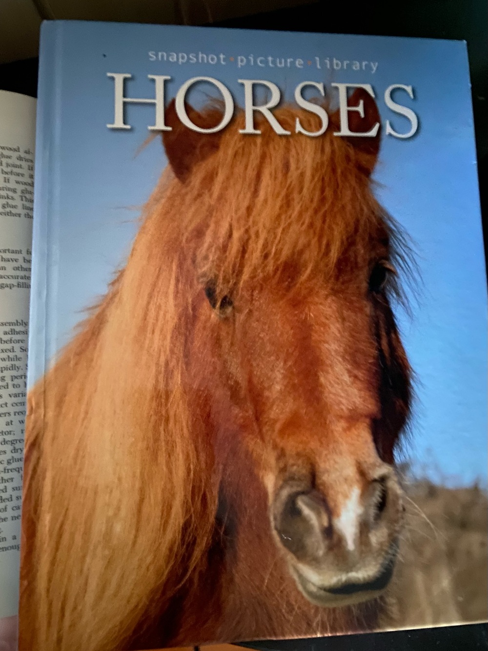 Horse Horses book pony ponies Hardcover Picture photo horse lover equestrian
